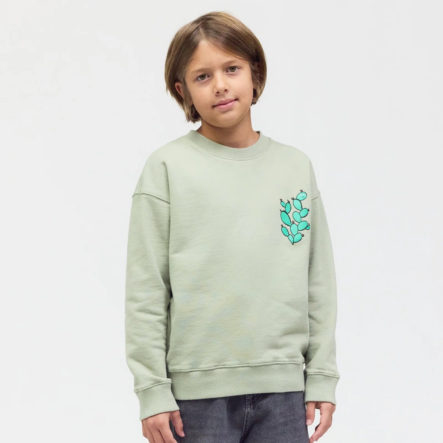 Checker Tobi Sweatshirt grün / Schlange