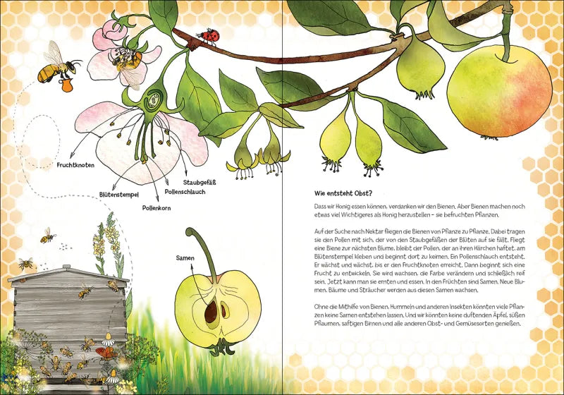 Loewe - Viel los bei den Bienen!