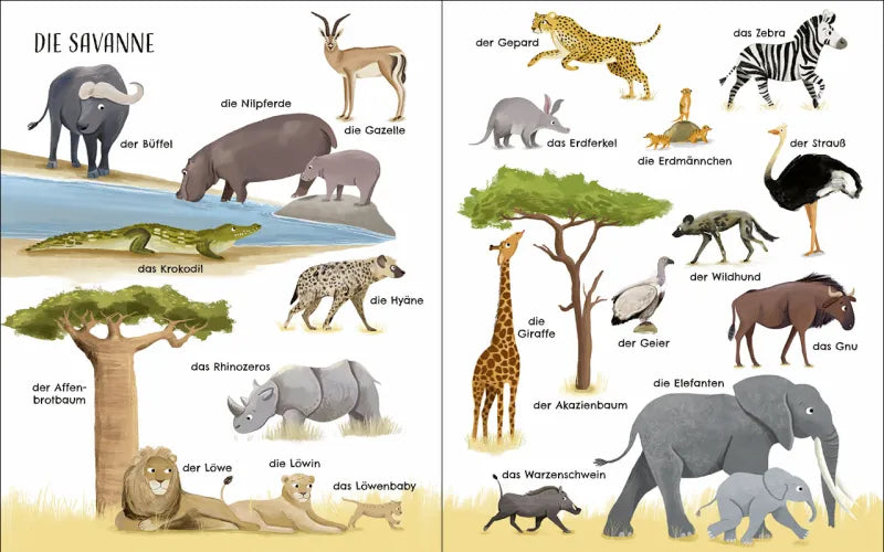Loewe - Entdecke die Welt der Tiere