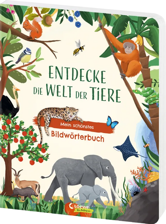 Loewe - Entdecke die Welt der Tiere