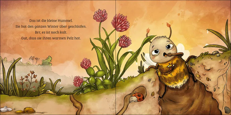 Loewe - Mein erstes Naturbuch - Die Hummel