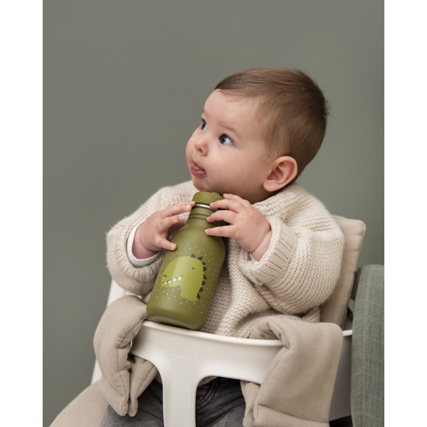 Trixie Trinkflasche Dino, 350ml