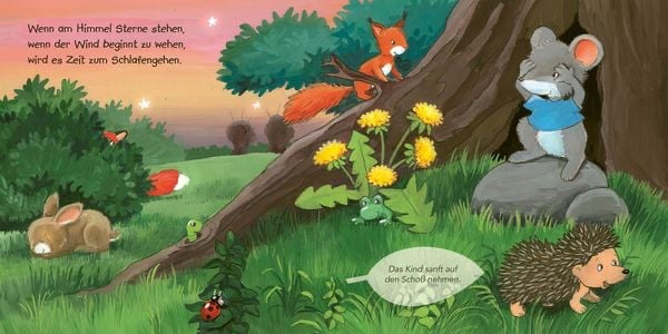 Wenn am Himmel Sterne stehen - Katja Reider