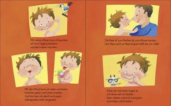 Ohren, Nase, Bauch - das hab ich auch! - Dagmar Geisler