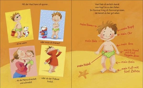 Ohren, Nase, Bauch - das hab ich auch! - Dagmar Geisler