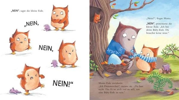 Ein Geschwisterchen für die kleine Eule - Debi Gliori