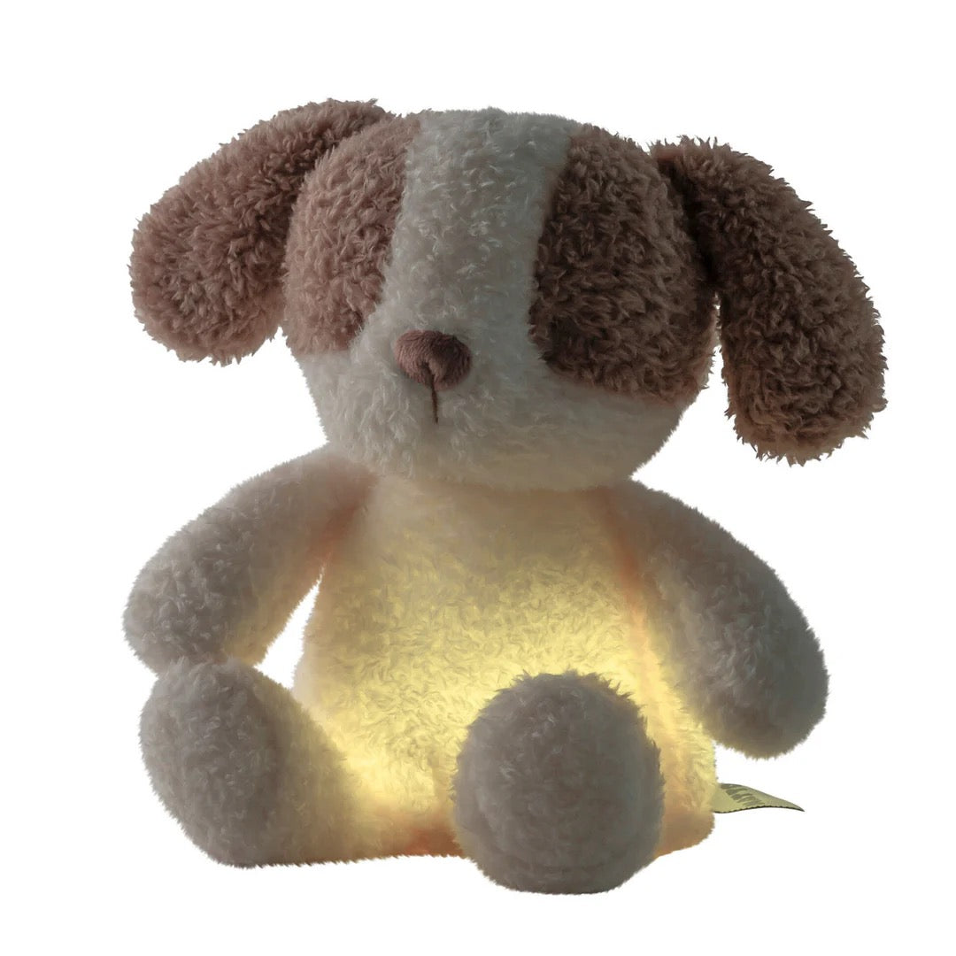 Nattou - TEDDY Baby Nachtlicht Hund – 25 cm – Weiches Babykuscheltier – Beige