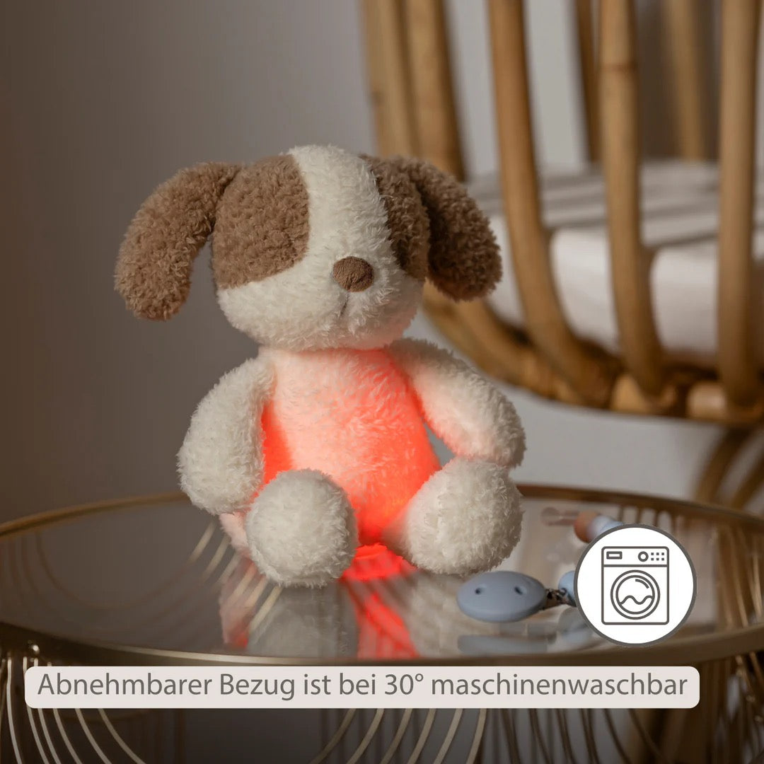 Nattou - TEDDY Baby Nachtlicht Hund – 25 cm – Weiches Babykuscheltier – Beige