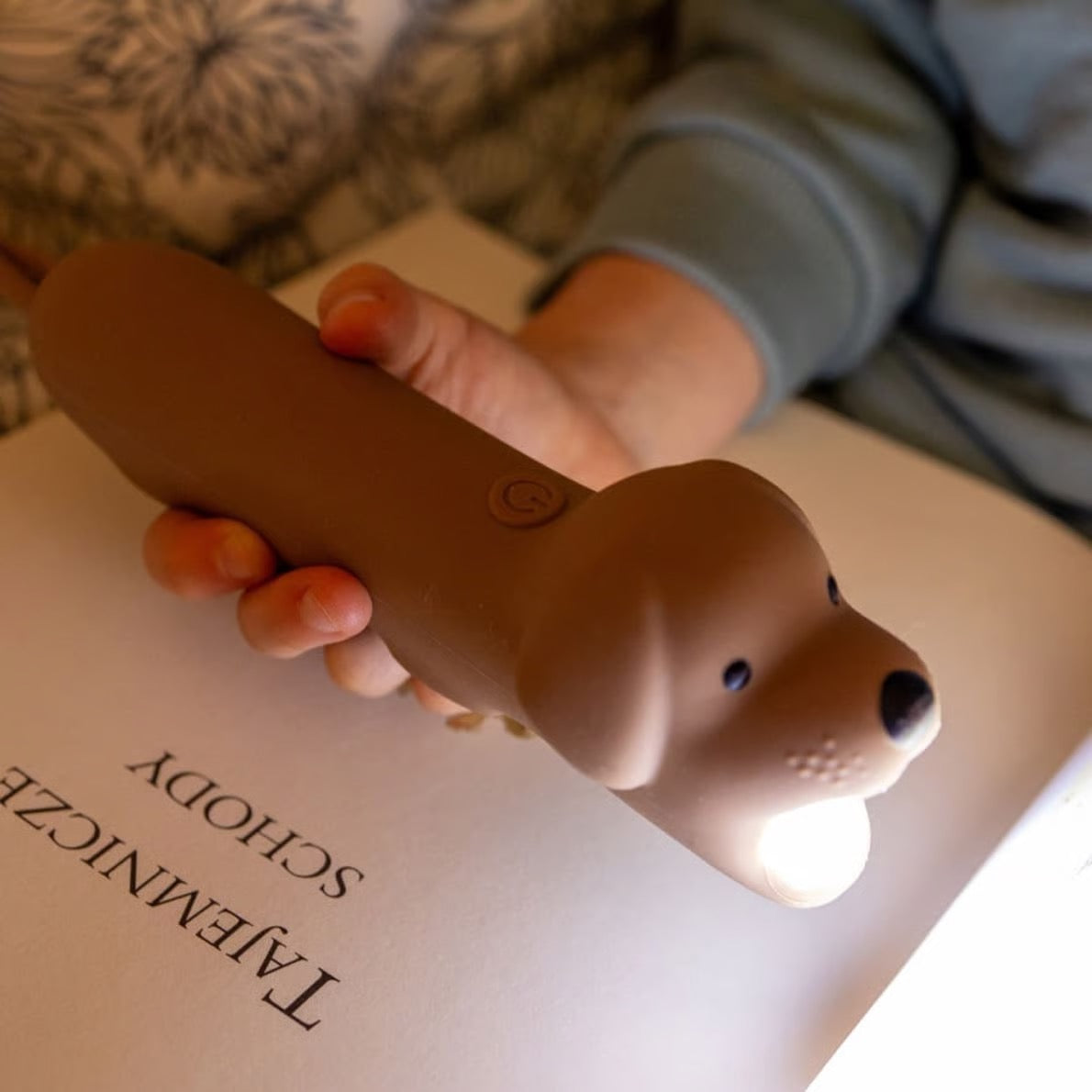 RABBIT & FRIENDS TASCHENLAMPE HUND