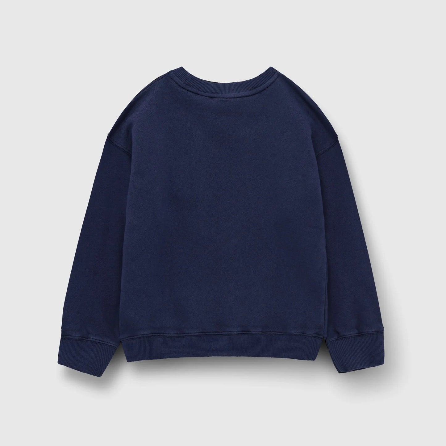 Checker Tobi Sweatshirt blau / Blume
